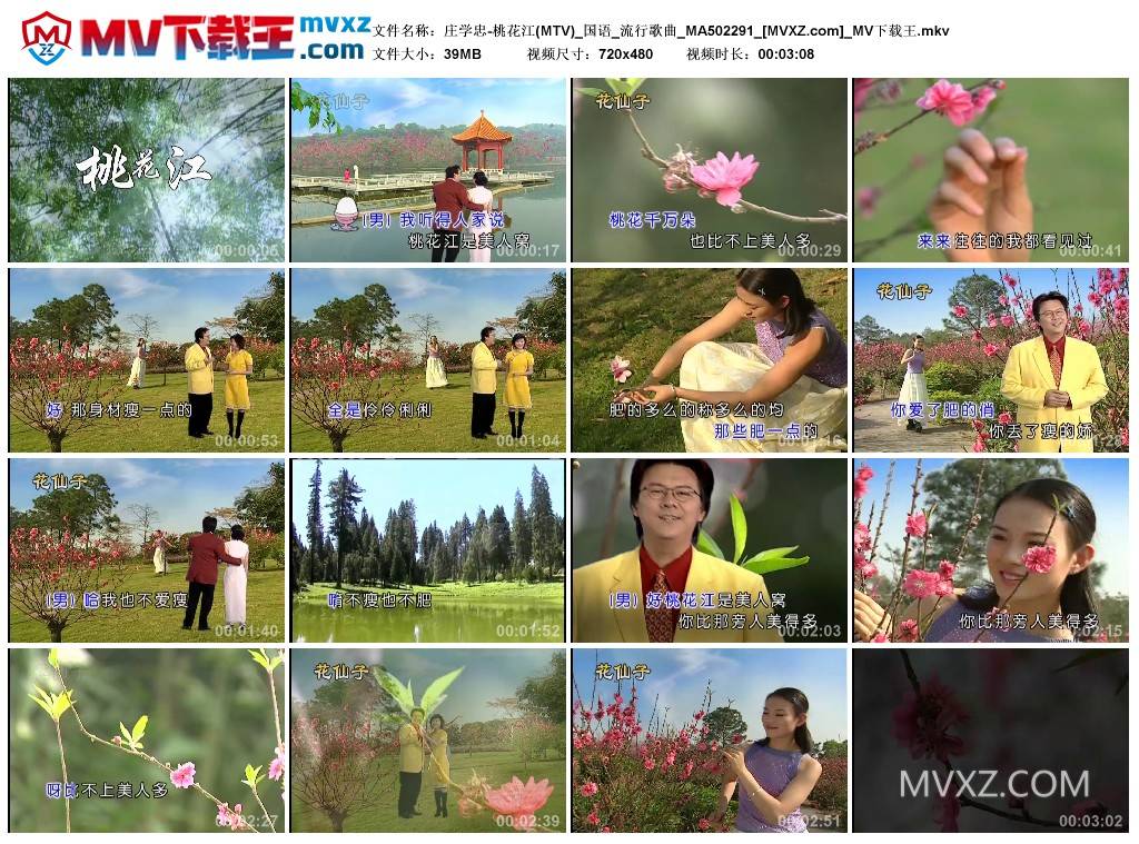 庄学忠-桃花江(MTV)_国语_流行歌曲_MA502291